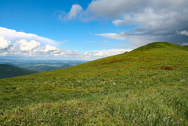 Bieszczady