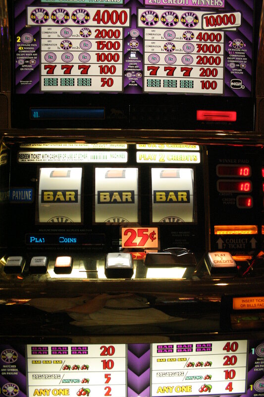 Fortune turned out to be kind