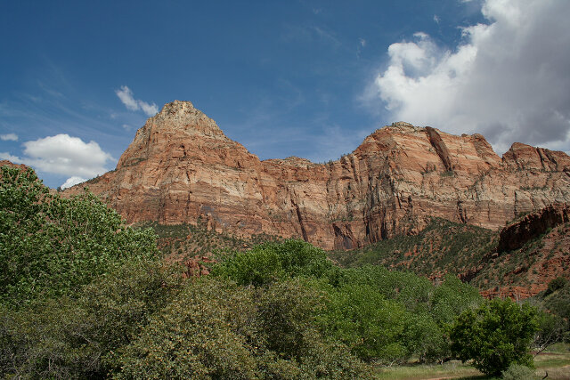 Zion Nat'l Park