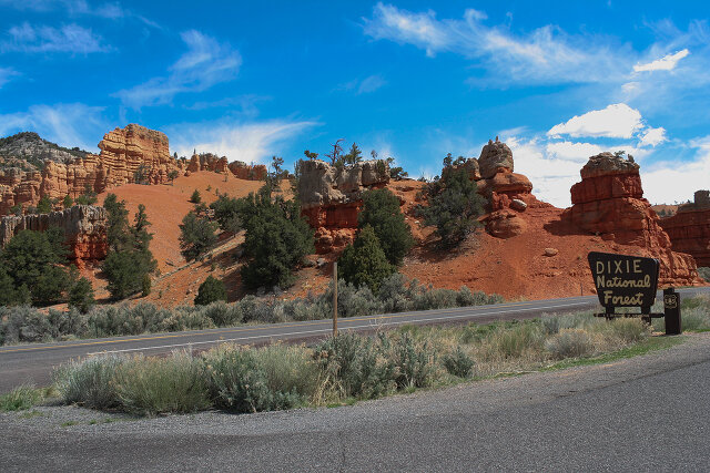 Bryce Nat'l Park