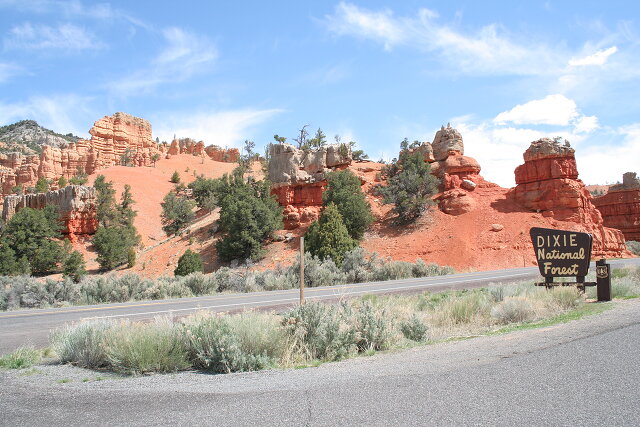 Bryce Nat'l Park