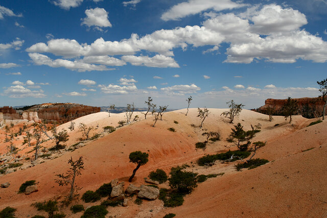 Desert