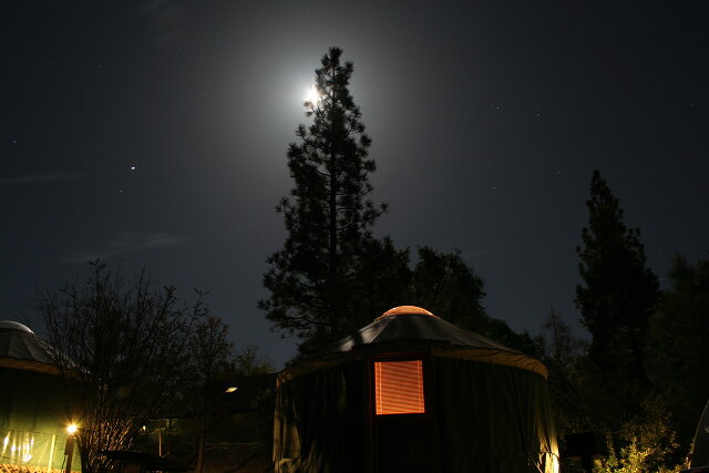 Yurt